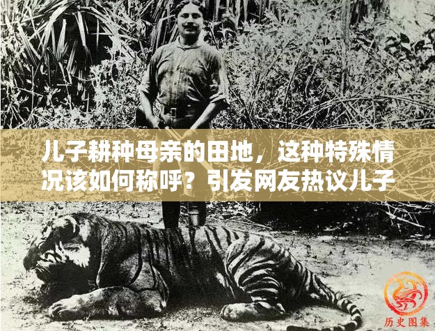 儿子耕种母亲的田地，这种特殊情况该如何称呼？引发网友热议儿子耕种母亲的田地，究竟叫什么？众人好奇求解，答案引人关注儿子耕种母亲的田地，这一现象该叫什么名？全网都在寻求答案