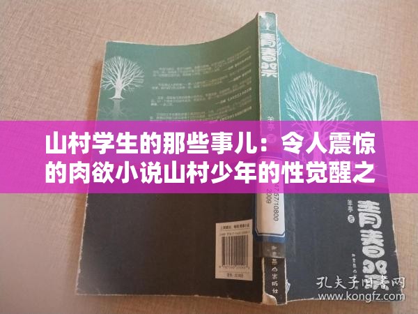 山村学生的那些事儿：令人震惊的肉欲小说山村少年的性觉醒之路：肉欲与青春的挣扎