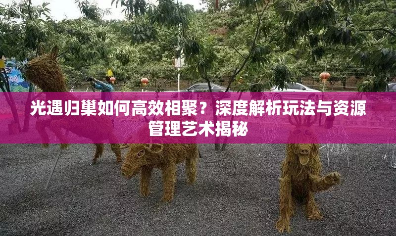 光遇归巢如何高效相聚？深度解析玩法与资源管理艺术揭秘