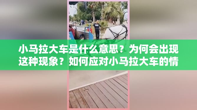 小马拉大车是什么意思？为何会出现这种现象？如何应对小马拉大车的情况？