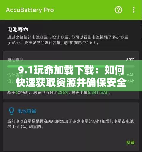 9.1玩命加载下载：如何快速获取资源并确保安全？全面解析与实用技巧分享