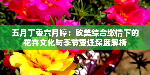 五月丁香六月婷：欧美综合缴情下的花卉文化与季节变迁深度解析