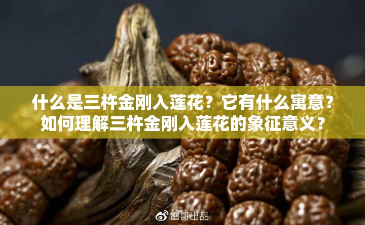 什么是三杵金刚入莲花？它有什么寓意？如何理解三杵金刚入莲花的象征意义？