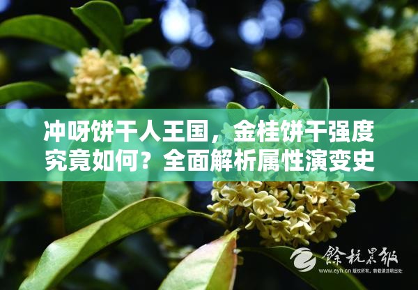 冲呀饼干人王国，金桂饼干强度究竟如何？全面解析属性演变史