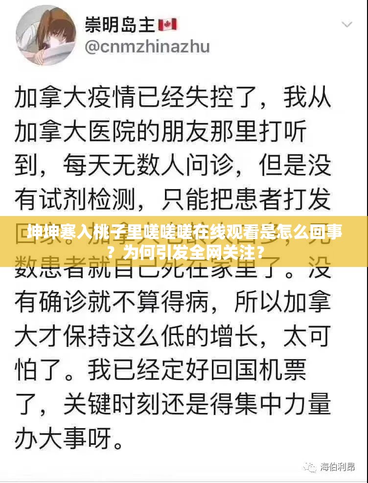 坤坤寒入桃子里嗟嗟嗟在线观看是怎么回事？为何引发全网关注？
