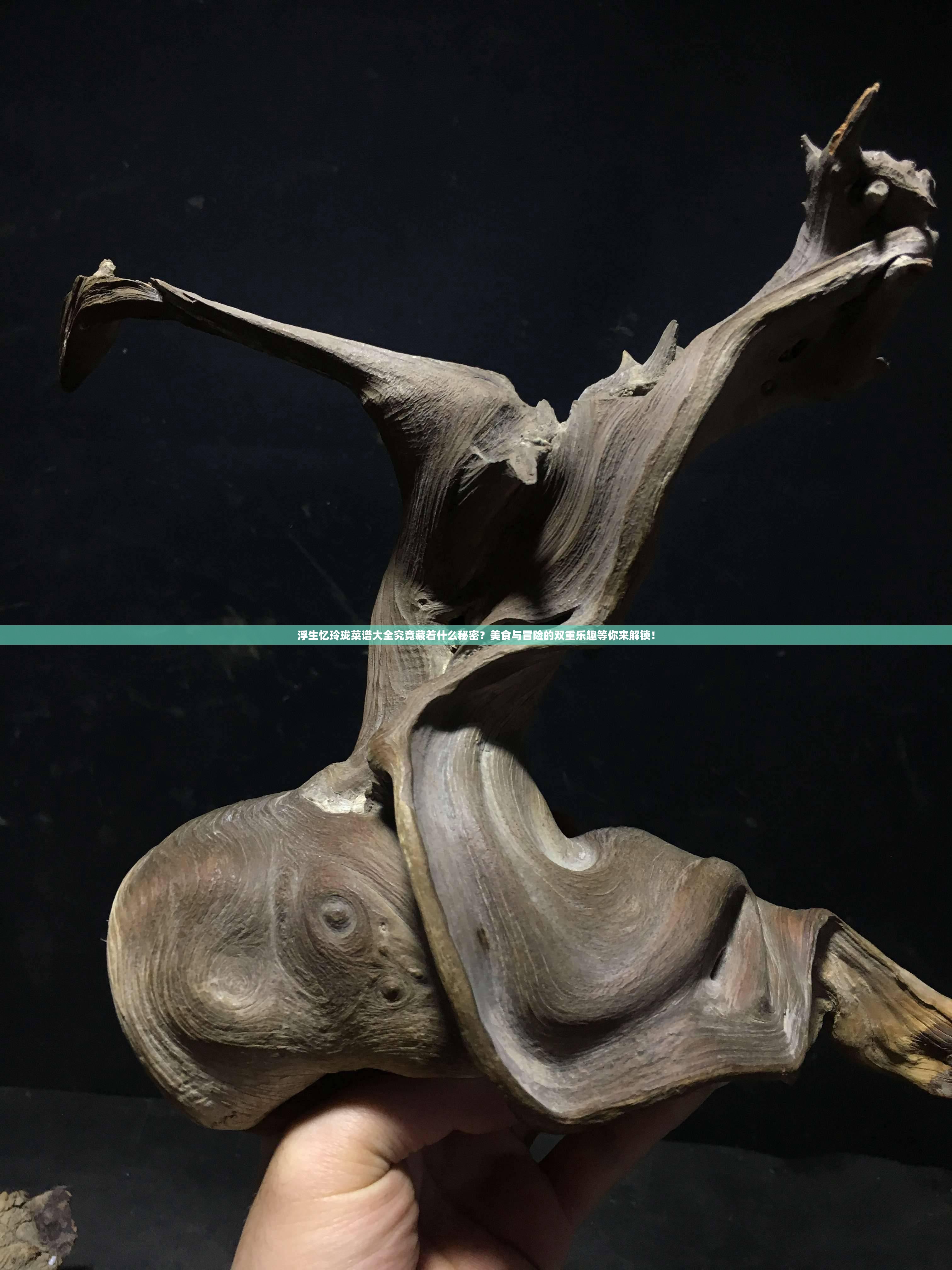 浮生忆玲珑菜谱大全究竟藏着什么秘密？美食与冒险的双重乐趣等你来解锁！