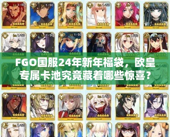 FGO国服24年新年福袋，欧皇专属卡池究竟藏着哪些惊喜？