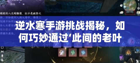 逆水寒手游挑战揭秘，如何巧妙通过‘此间的老叶’难关，攻略详解？