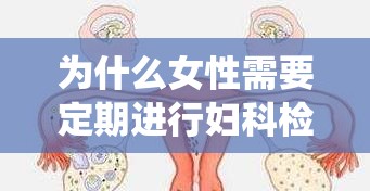 为什么女性需要定期进行妇科检查？了解女性生殖系统健康的重要性