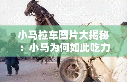 小马拉车图片大揭秘：小马为何如此吃力拉车？背后原因引人深思