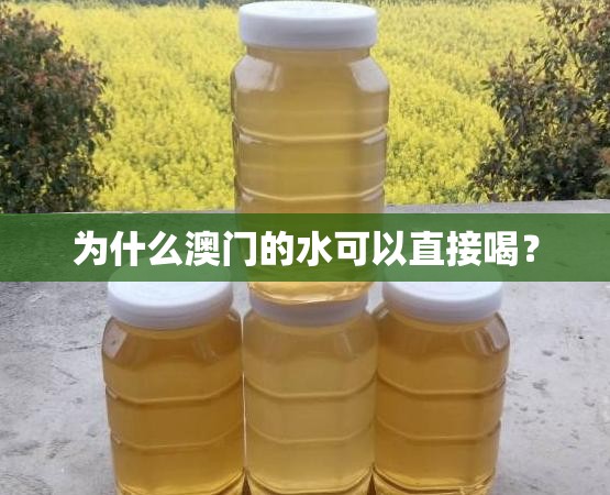 为什么澳门的水可以直接喝？