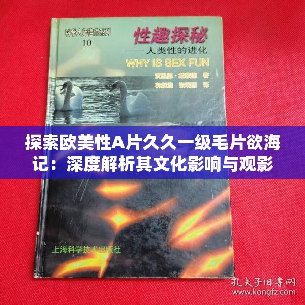 探索欧美性A片久久一级毛片欲海记：深度解析其文化影响与观影体验
