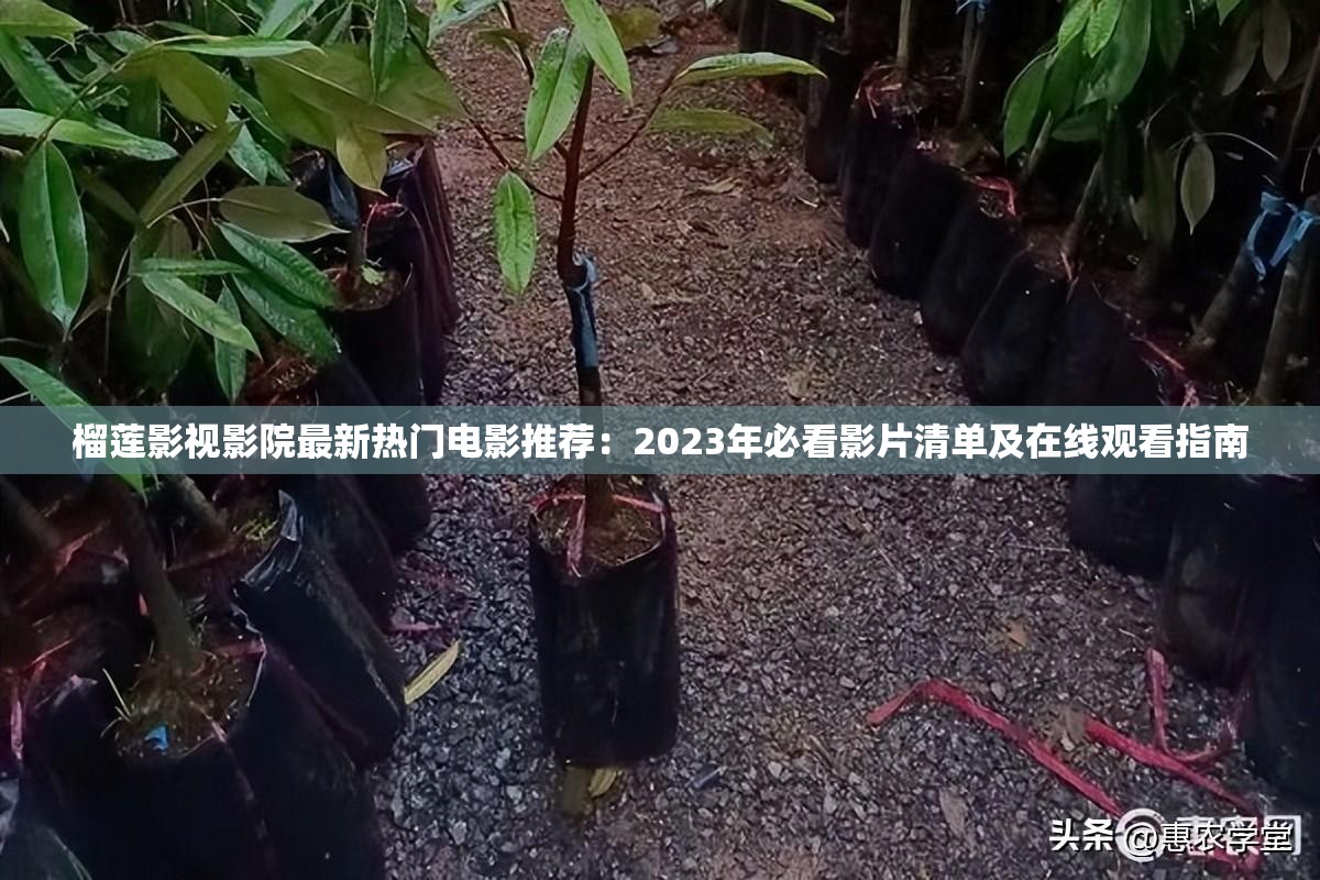 榴莲影视影院最新热门电影推荐：2023年必看影片清单及在线观看指南