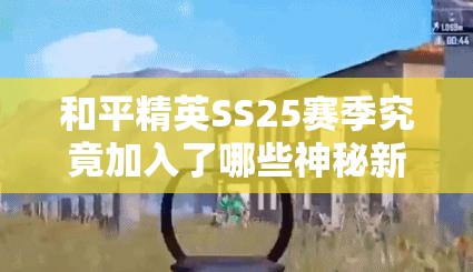 和平精英SS25赛季究竟加入了哪些神秘新枪械？一览揭秘！