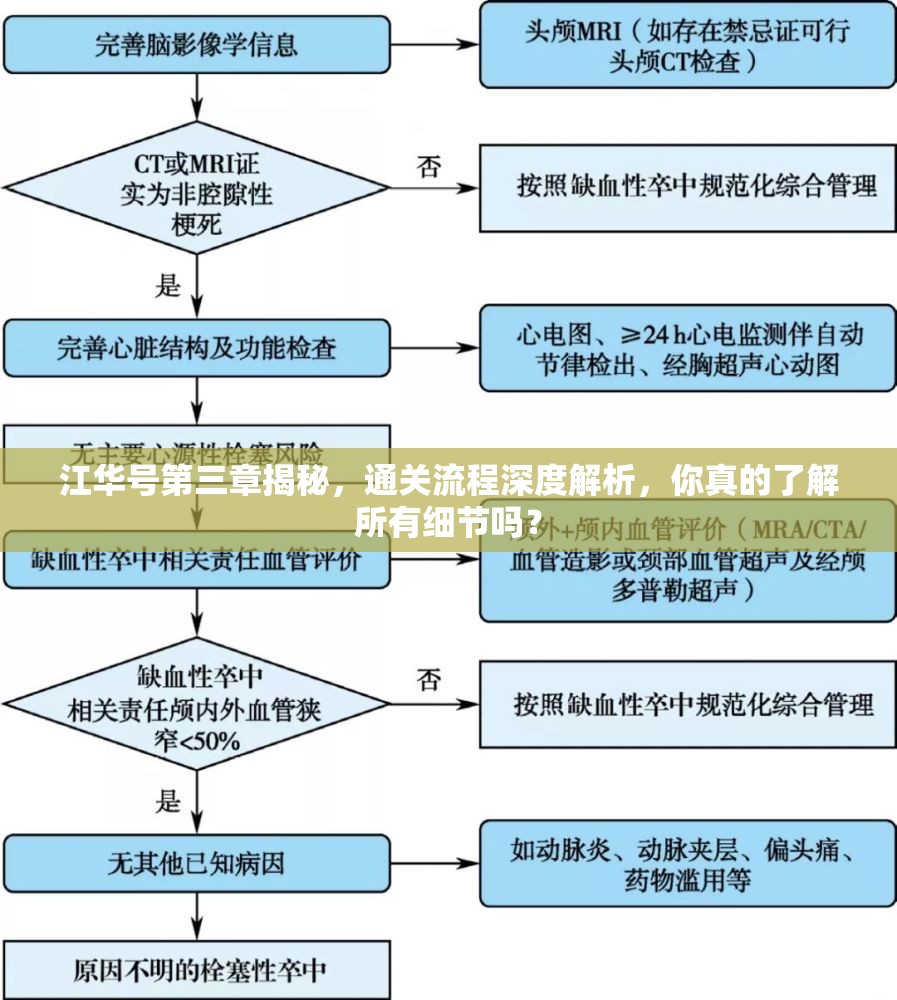 江华号第三章揭秘，通关流程深度解析，你真的了解所有细节吗？