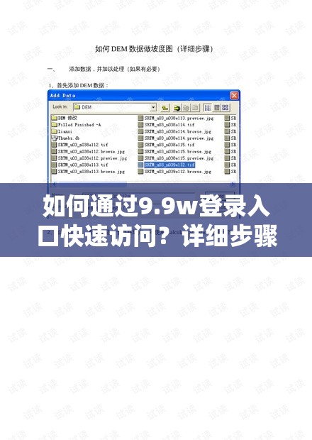 如何通过9.9w登录入口快速访问？详细步骤与常见问题解答全攻略