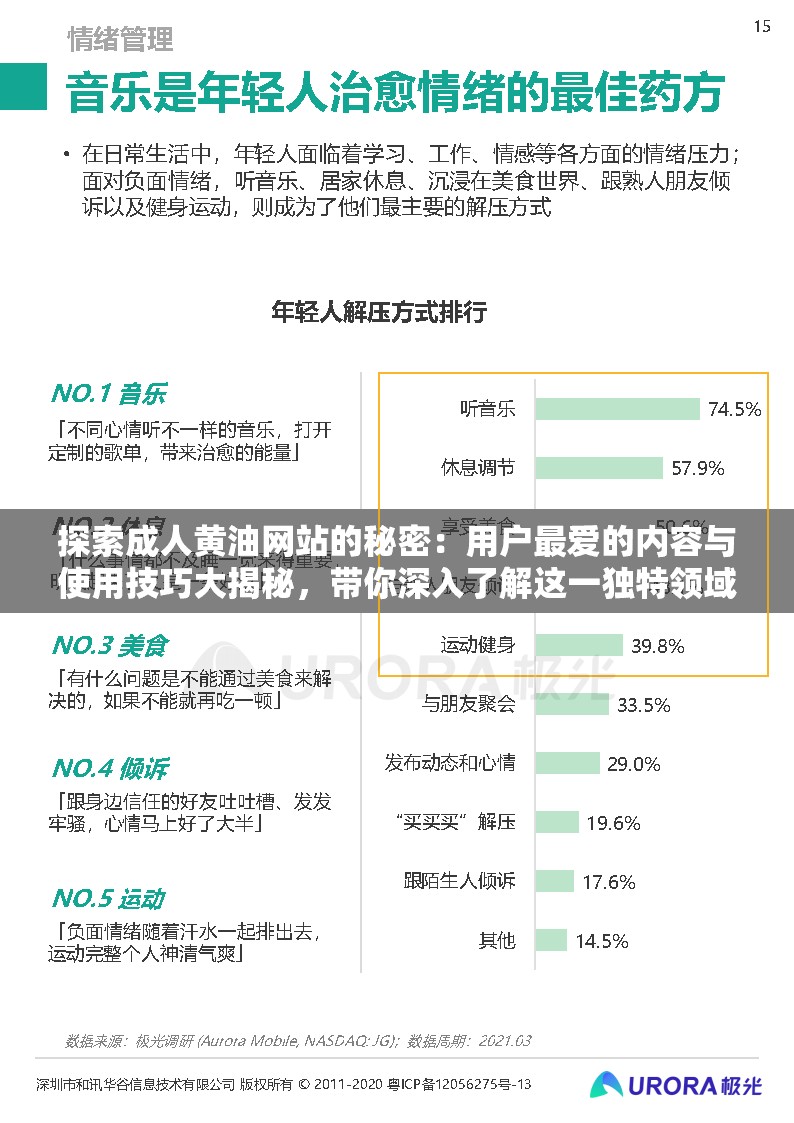 探索成人黄油网站的秘密：用户最爱的内容与使用技巧大揭秘，带你深入了解这一独特领域