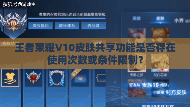 王者荣耀V10皮肤共享功能是否存在使用次数或条件限制？