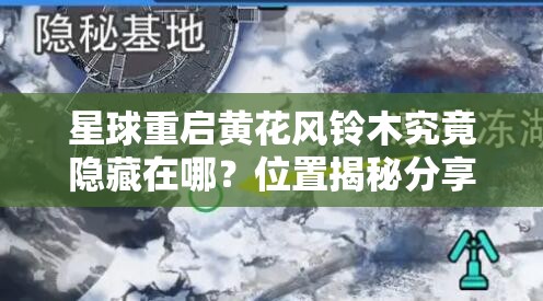 星球重启黄花风铃木究竟隐藏在哪？位置揭秘分享来啦！