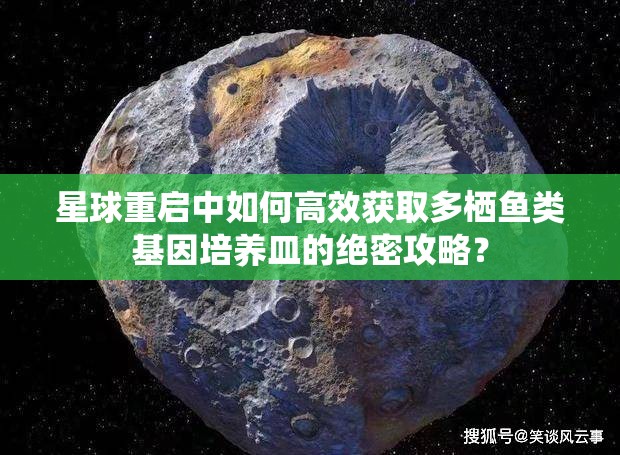 星球重启中如何高效获取多栖鱼类基因培养皿的绝密攻略？