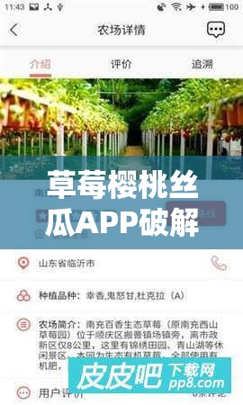 草莓樱桃丝瓜APP破解版真的存在吗？其功能和使用风险大揭秘需要强调的是，使用破解版软件是侵犯知识产权的违法行为，可能会带来安全风险和法律问题，不建议进行尝试