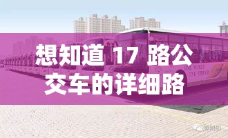 想知道 17 路公交车的详细路线？快来这里查询，满足你的出行需求