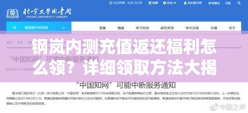 钢岚内测充值返还福利怎么领？详细领取方法大揭秘！