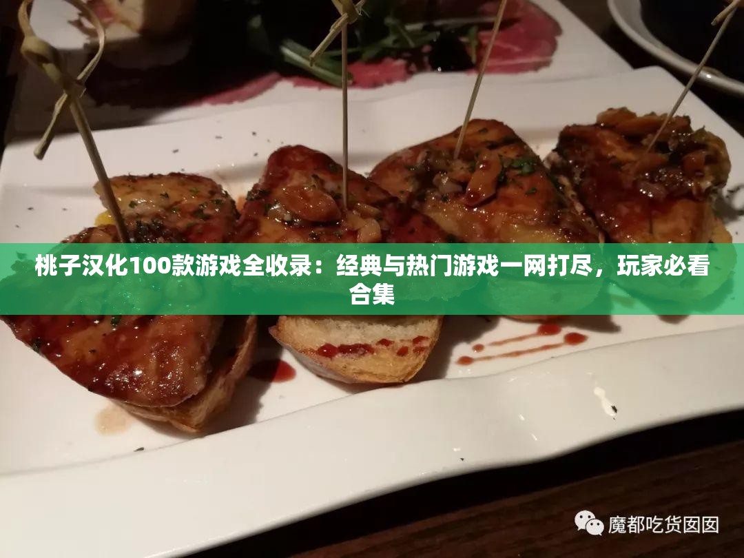 桃子汉化100款游戏全收录：经典与热门游戏一网打尽，玩家必看合集