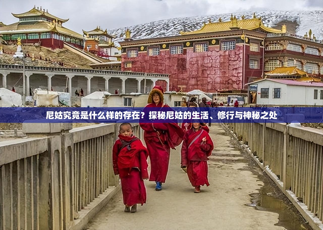 尼姑究竟是什么样的存在？探秘尼姑的生活、修行与神秘之处