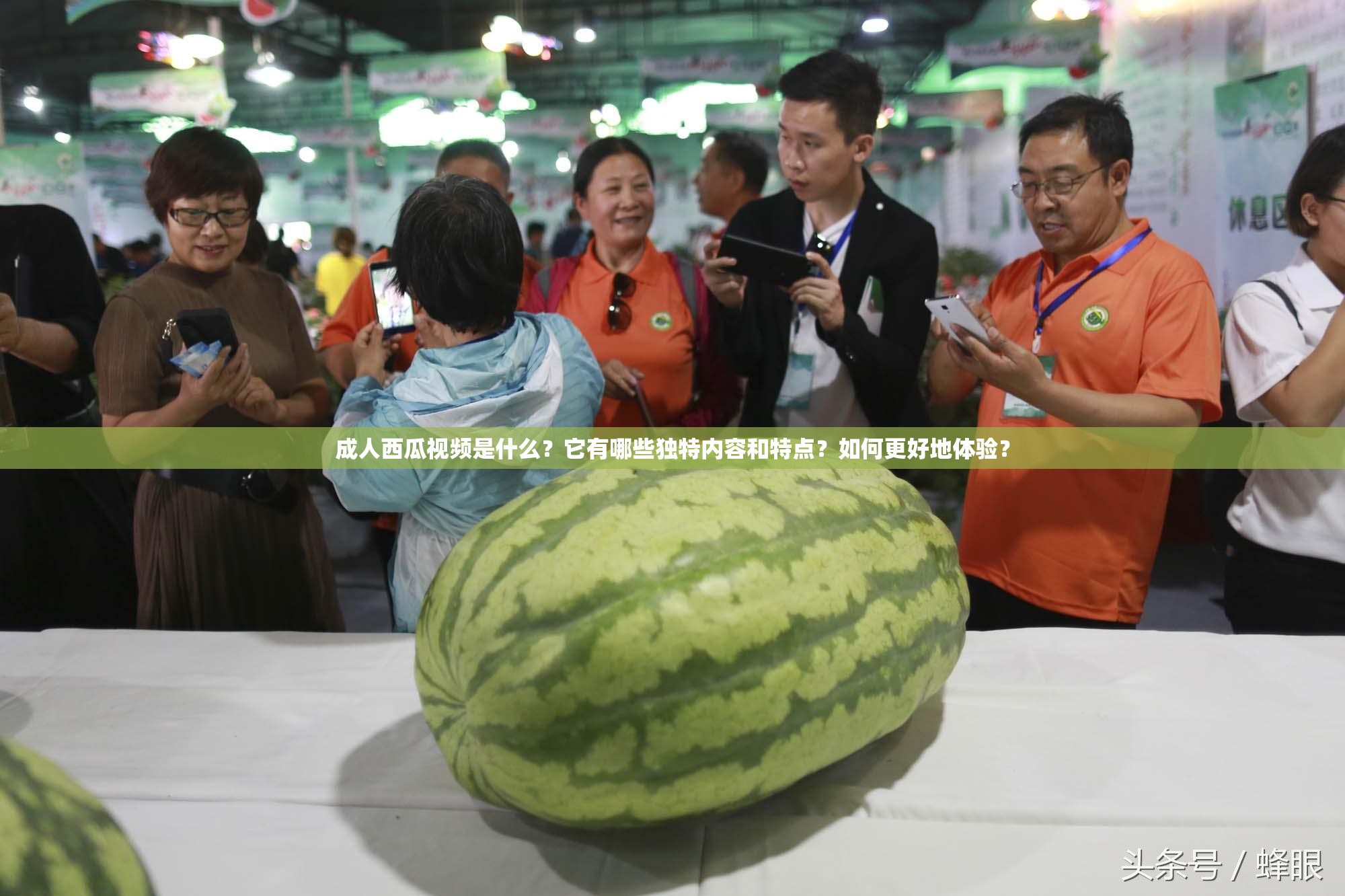 成人西瓜视频是什么？它有哪些独特内容和特点？如何更好地体验？