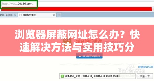 浏览器屏蔽网址怎么办？快速解决方法与实用技巧分享