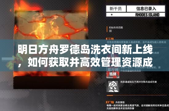 明日方舟罗德岛洗衣间新上线，如何获取并高效管理资源成疑问？