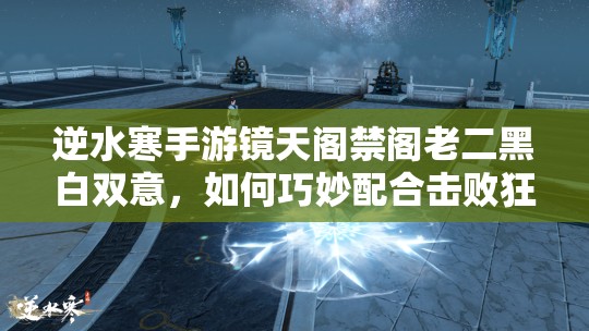 逆水寒手游镜天阁禁阁老二黑白双意，如何巧妙配合击败狂暴双首领？