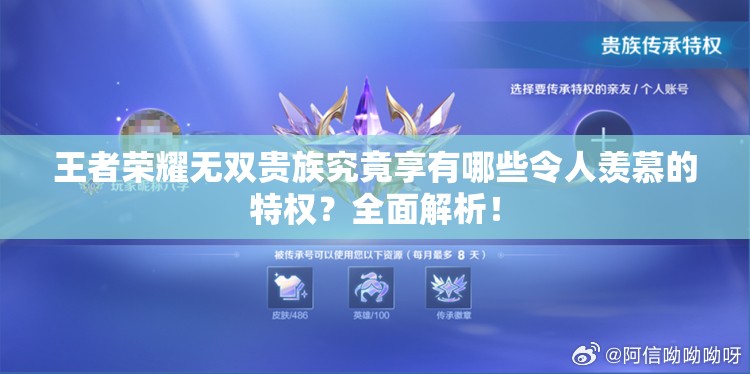 王者荣耀无双贵族究竟享有哪些令人羡慕的特权？全面解析！