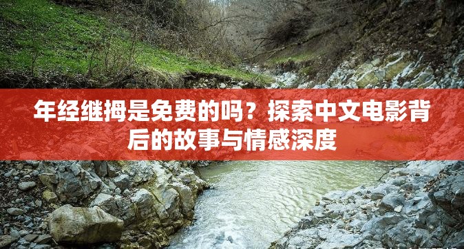 年经继拇是免费的吗？探索中文电影背后的故事与情感深度
