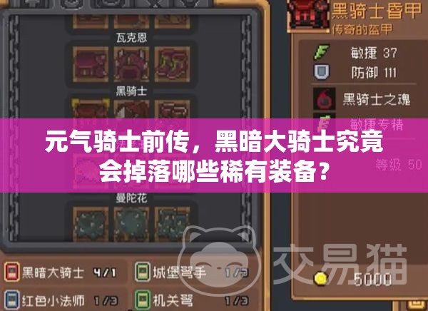 元气骑士前传，黑暗大骑士究竟会掉落哪些稀有装备？