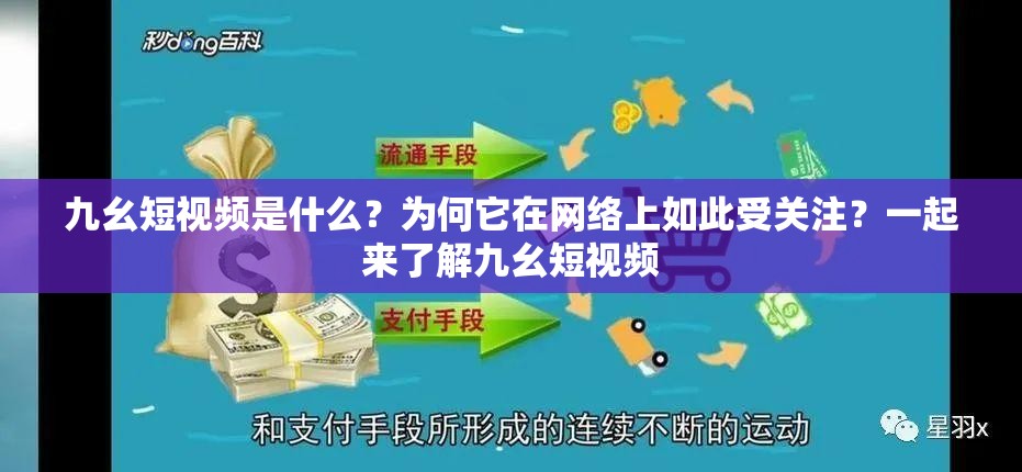 九幺短视频是什么？为何它在网络上如此受关注？一起来了解九幺短视频