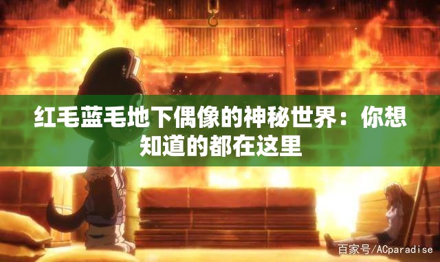 红毛蓝毛地下偶像的神秘世界：你想知道的都在这里