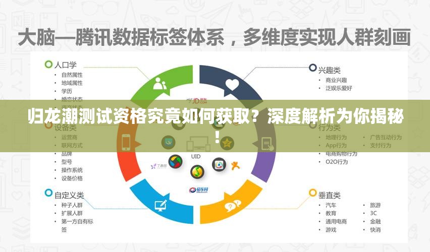 归龙潮测试资格究竟如何获取？深度解析为你揭秘！