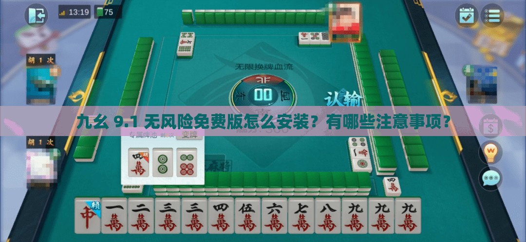 九幺 9.1 无风险免费版怎么安装？有哪些注意事项？