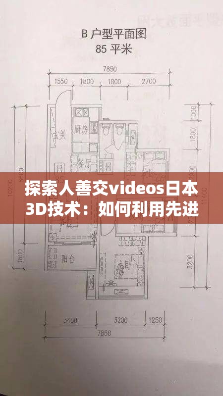 探索人善交videos日本3D技术：如何利用先进3D技术提升视频交互体验？