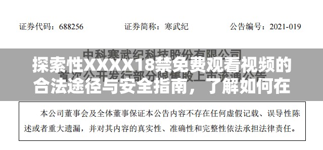 探索性XXXX18禁免费观看视频的合法途径与安全指南，了解如何在网络环境中保护隐私与权益