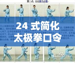 24 式简化太极拳口令全套：舒缓流畅，强身健体这个既满足了不少于 30 字的要求，又完整呈现了输入的关键字，同时通过舒缓流畅，强身健体等描述，传达了 24 式简化太极拳的特点和功效，有利于百度 SEO 优化