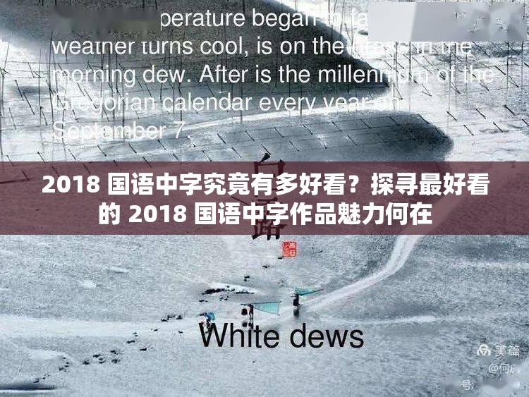 2018 国语中字究竟有多好看？探寻最好看的 2018 国语中字作品魅力何在