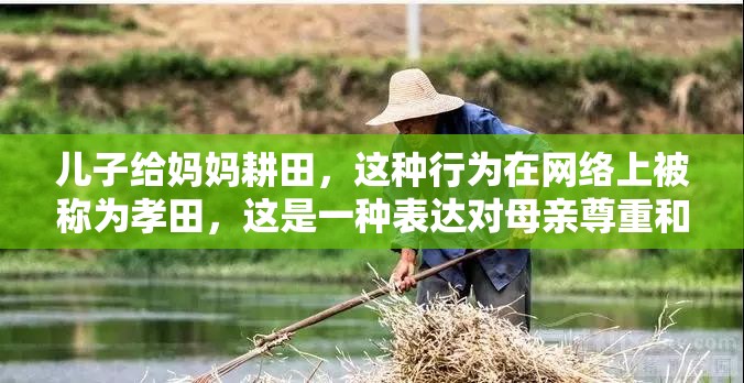 儿子给妈妈耕田，这种行为在网络上被称为孝田，这是一种表达对母亲尊重和感恩的方式