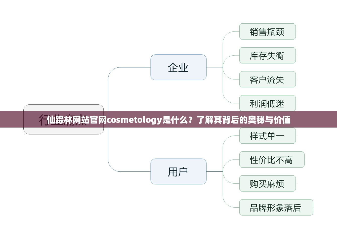 仙踪林网站官网cosmetology是什么？了解其背后的奥秘与价值