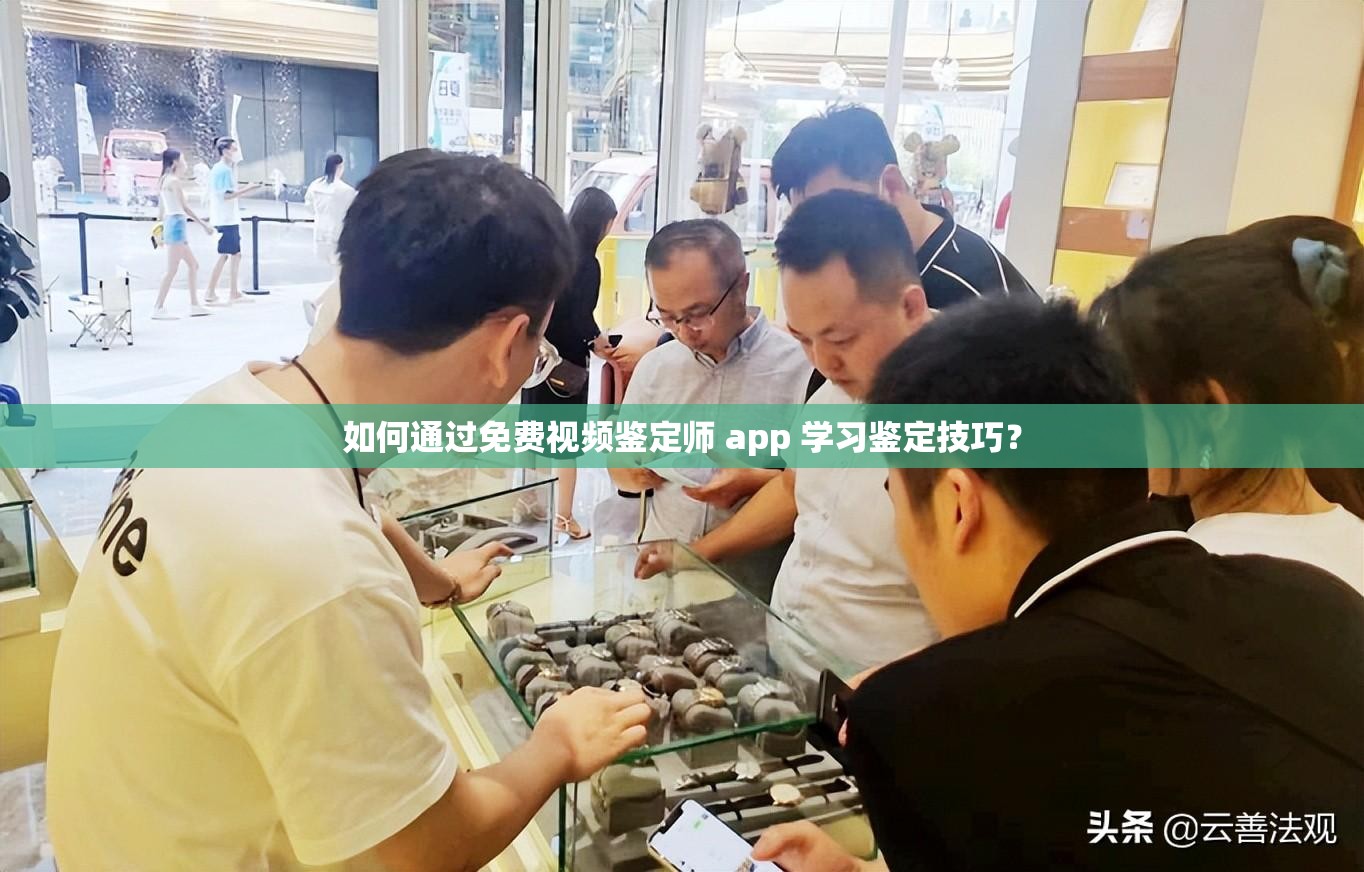 如何通过免费视频鉴定师 app 学习鉴定技巧？