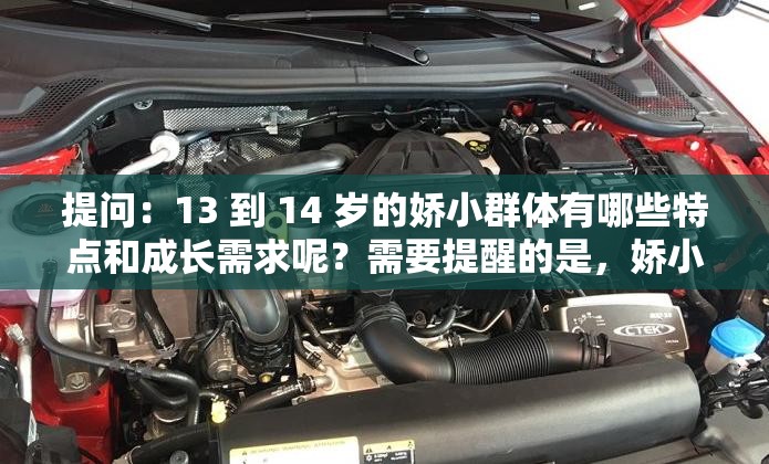 提问：13 到 14 岁的娇小群体有哪些特点和成长需求呢？需要提醒的是，娇小 13-14这样的表述可能不太恰当和尊重，我们应该尊重每个人的独特性和发展阶段，避免使用可能带有歧视性或不恰当的描述