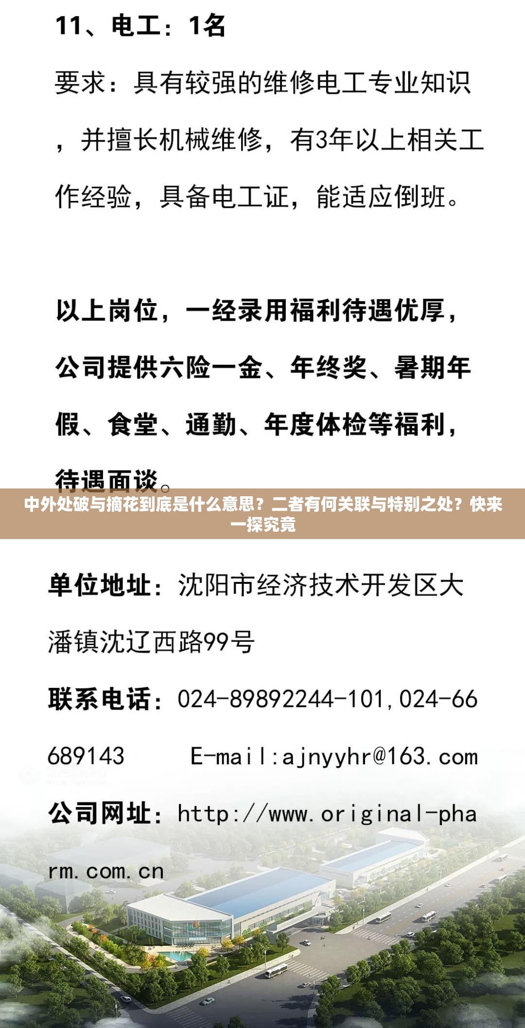 中外处破与摘花到底是什么意思？二者有何关联与特别之处？快来一探究竟