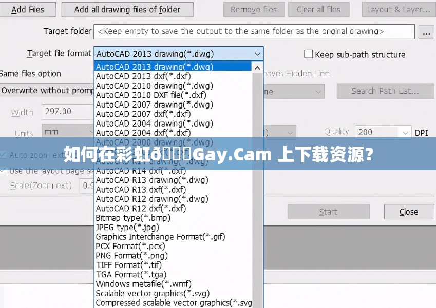 如何在彩虹🌈Gay.Cam 上下载资源？